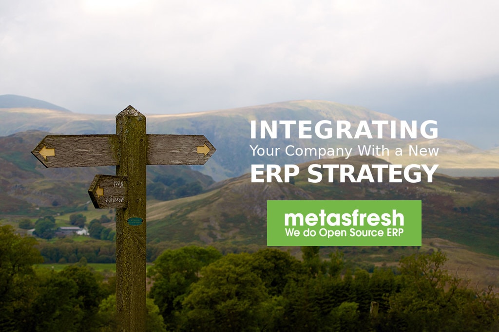 Integrating Your Company with a New ERP Strategy