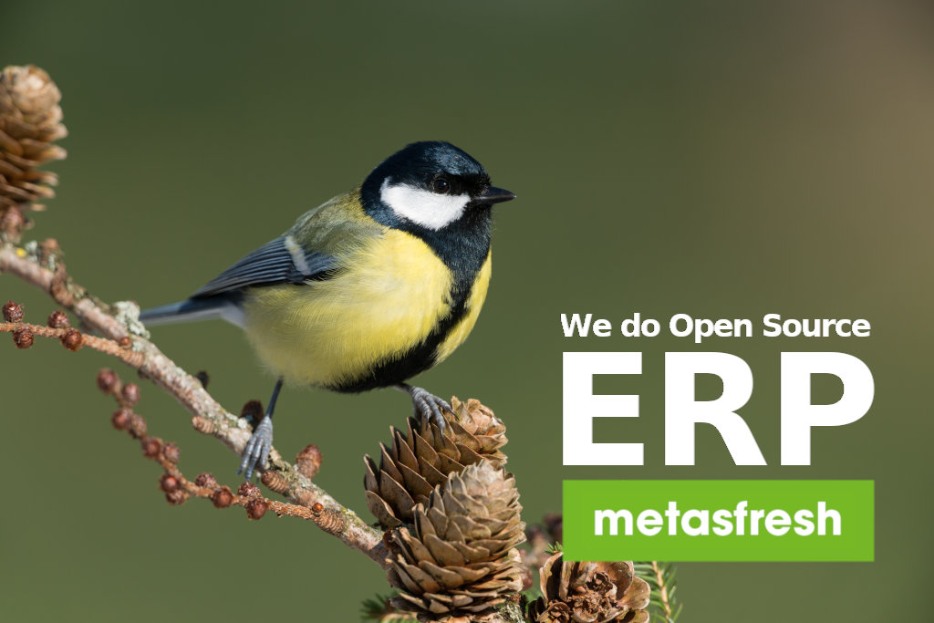 metasfresh ERP Release 5.137 - Great tit sitting on a branch