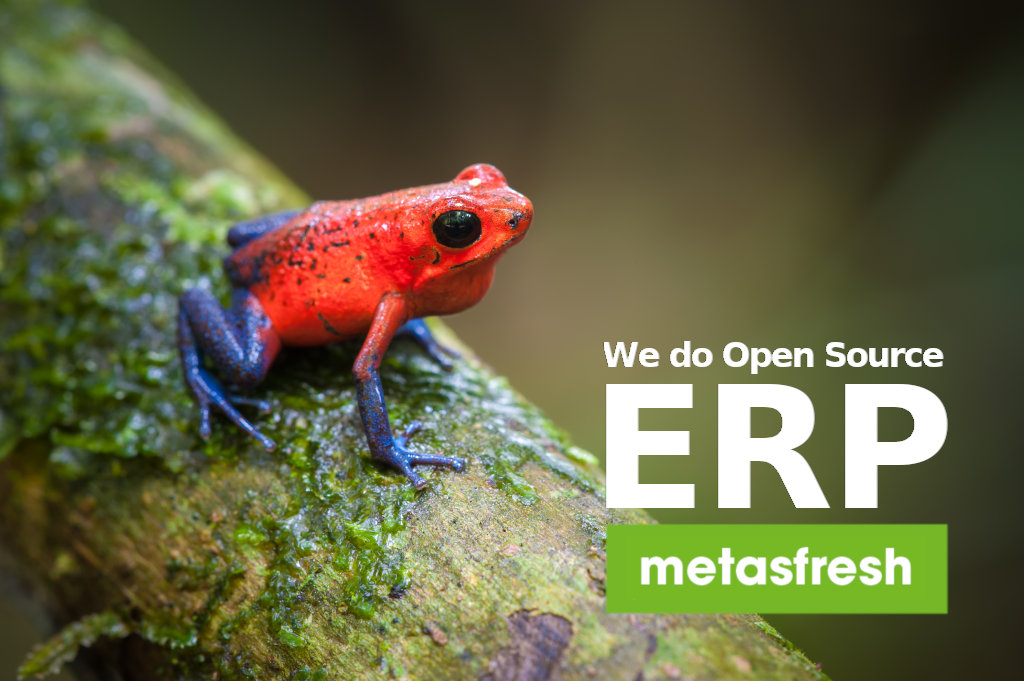 metasfresh ERP Release 5.138 - Strawberry Poison-Dart Frog (Oophaga pumilio)