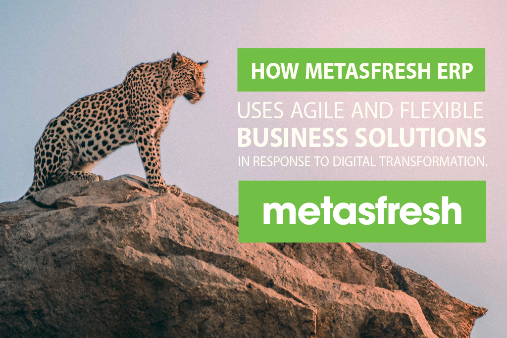 How metasfresh ERP Uses Agile and Flexible Business Solutions in Response to Digital Transformation
