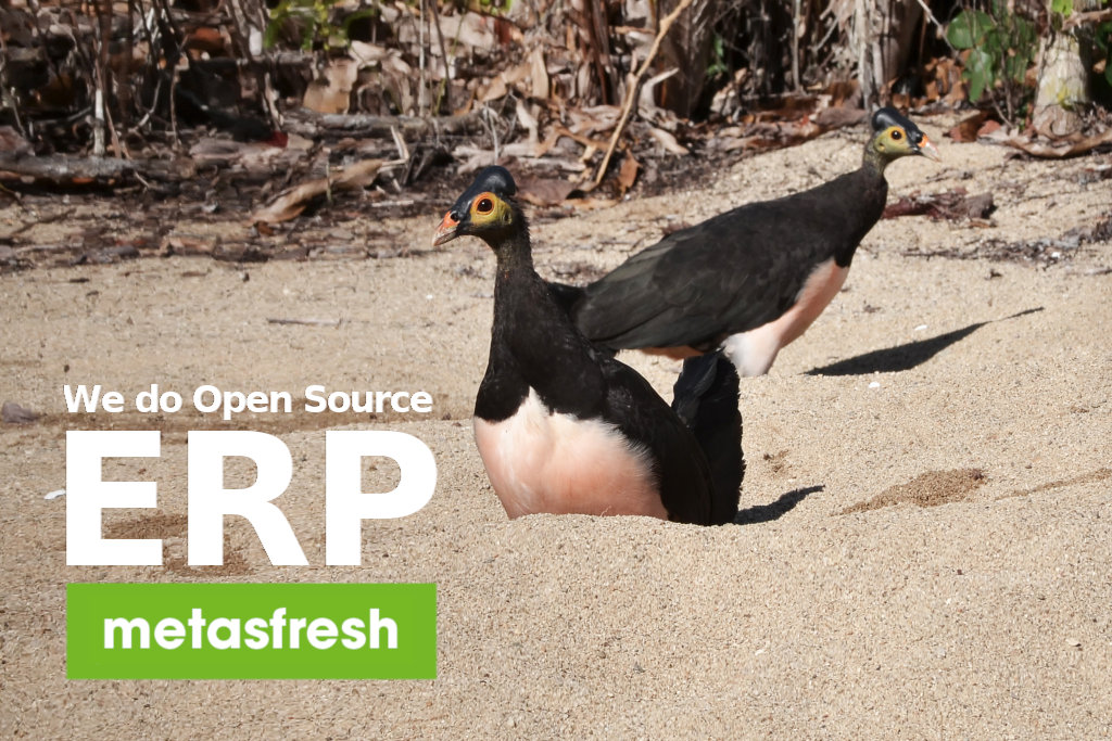 metasfresh ERP Release 5.140 -