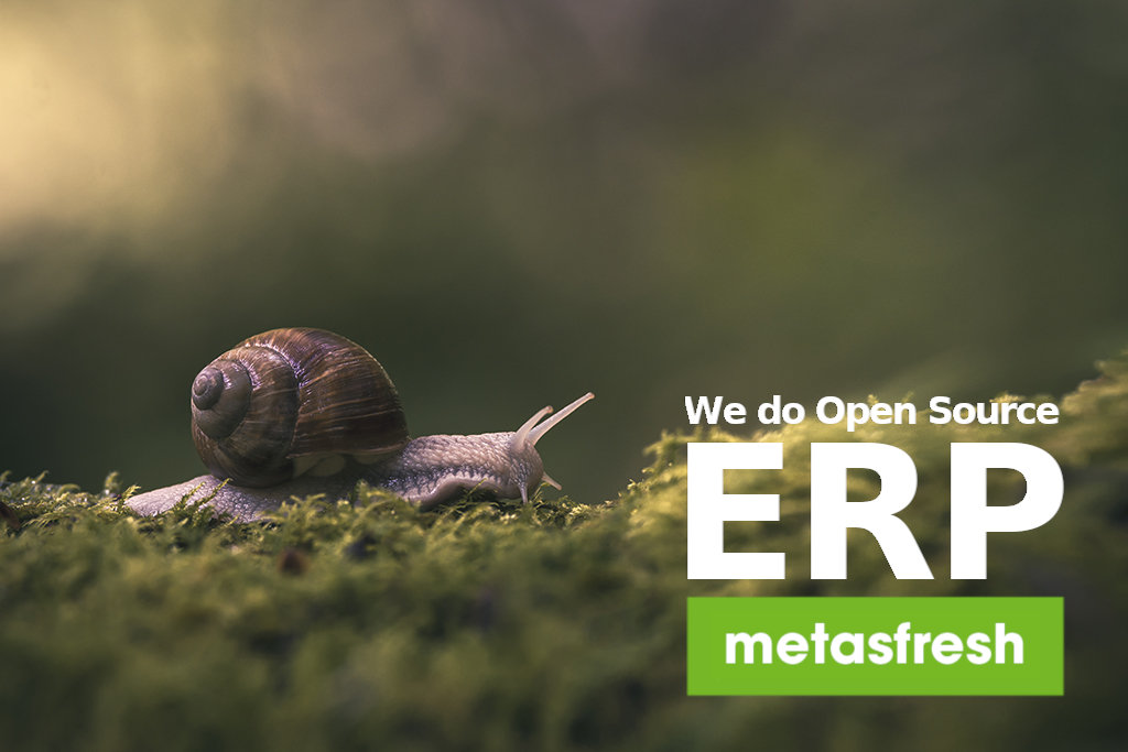 metasfresh ERP Release 5.142 - Helix Pomatia