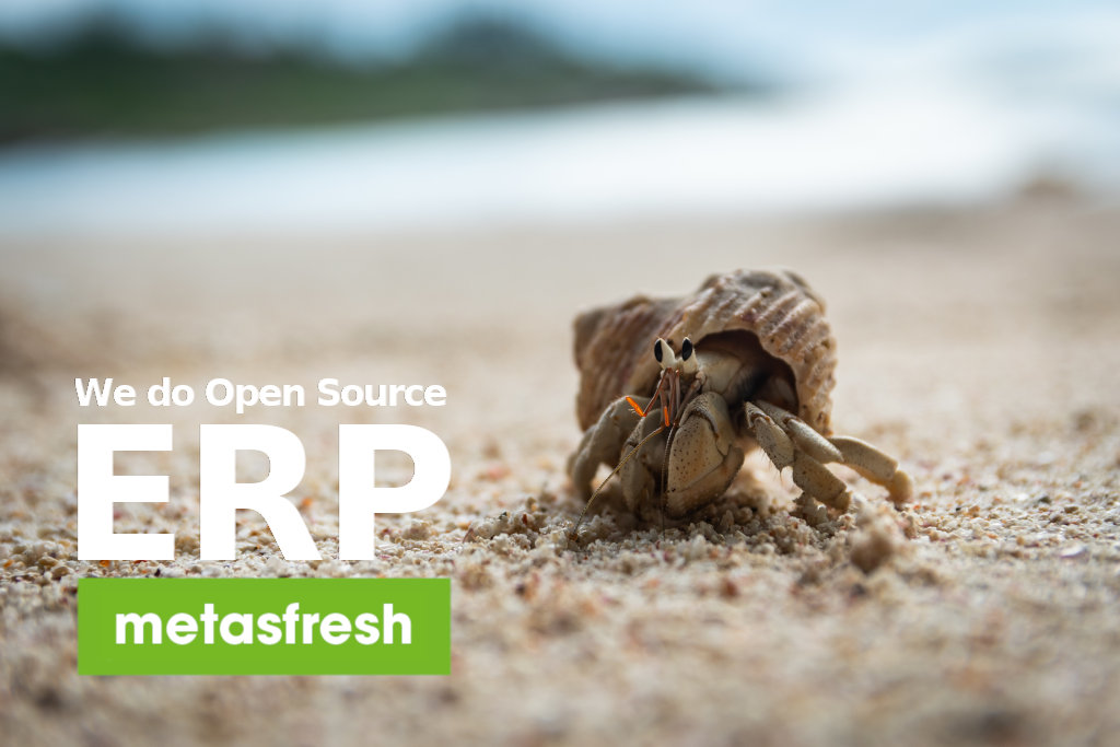 metasfresh ERP Release 5.143 - Hermit crab on beach