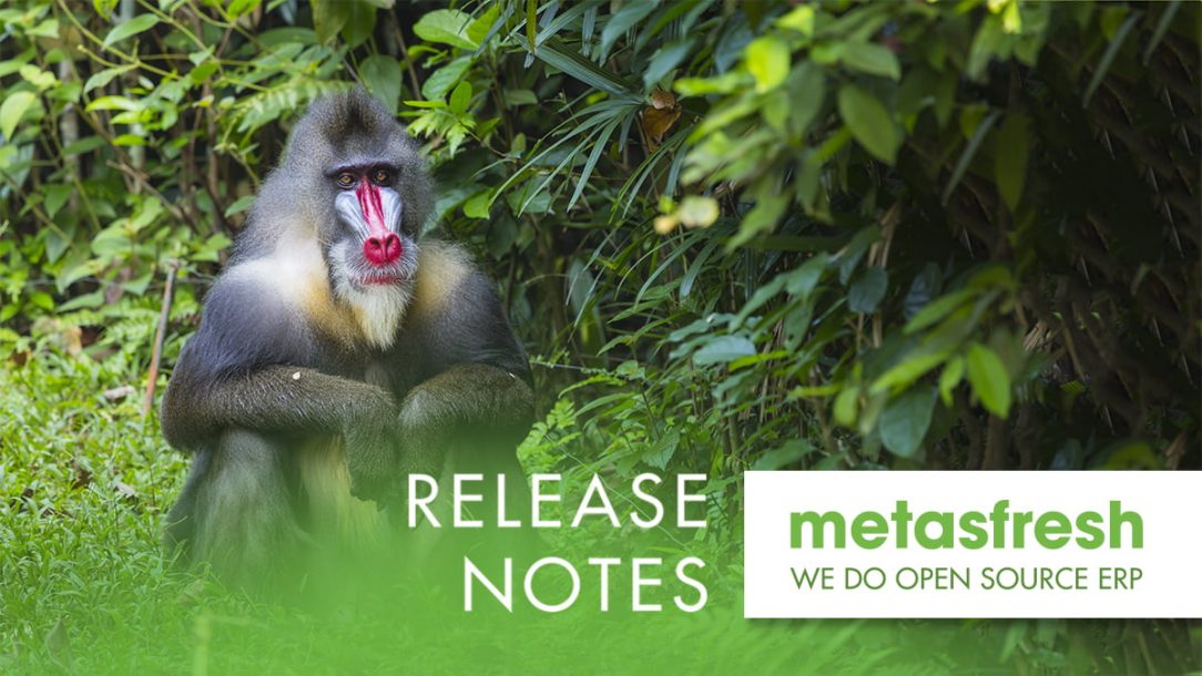 metasfresh ERP Release 5.148 - Brown-hooded Parrot