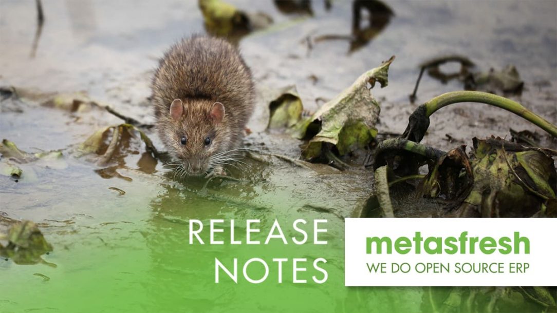 metasfresh ERP Release 5.154 - Rat, Rattus norvegicus