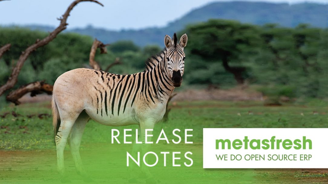 metasfresh ERP Release 5.156 - Zebra, Equus quagga quagga