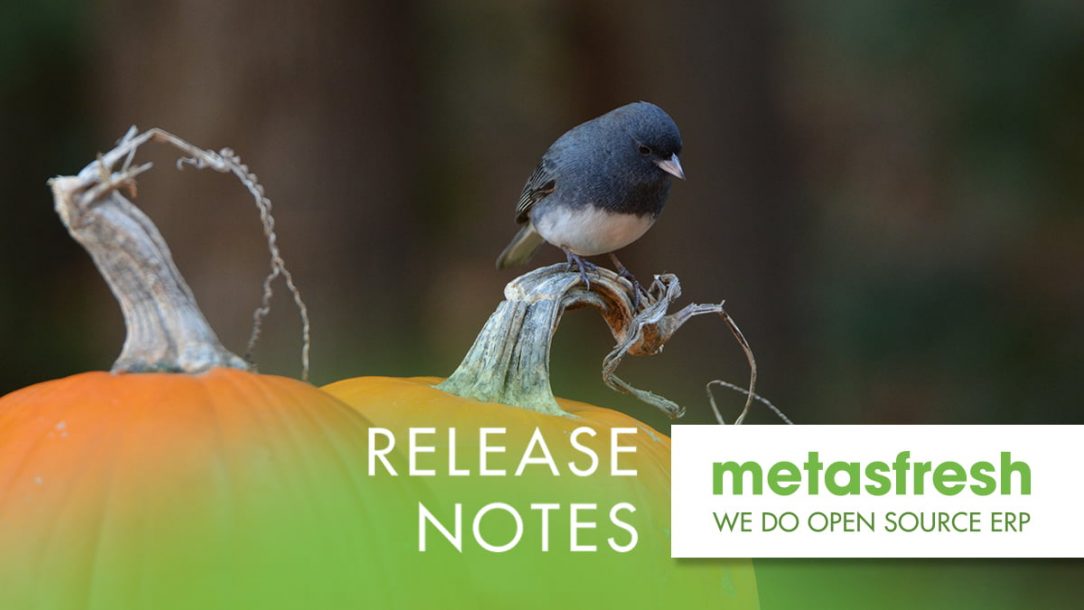 metasfresh ERP Release 5.157 - Dark-eyed junco on pumpkin