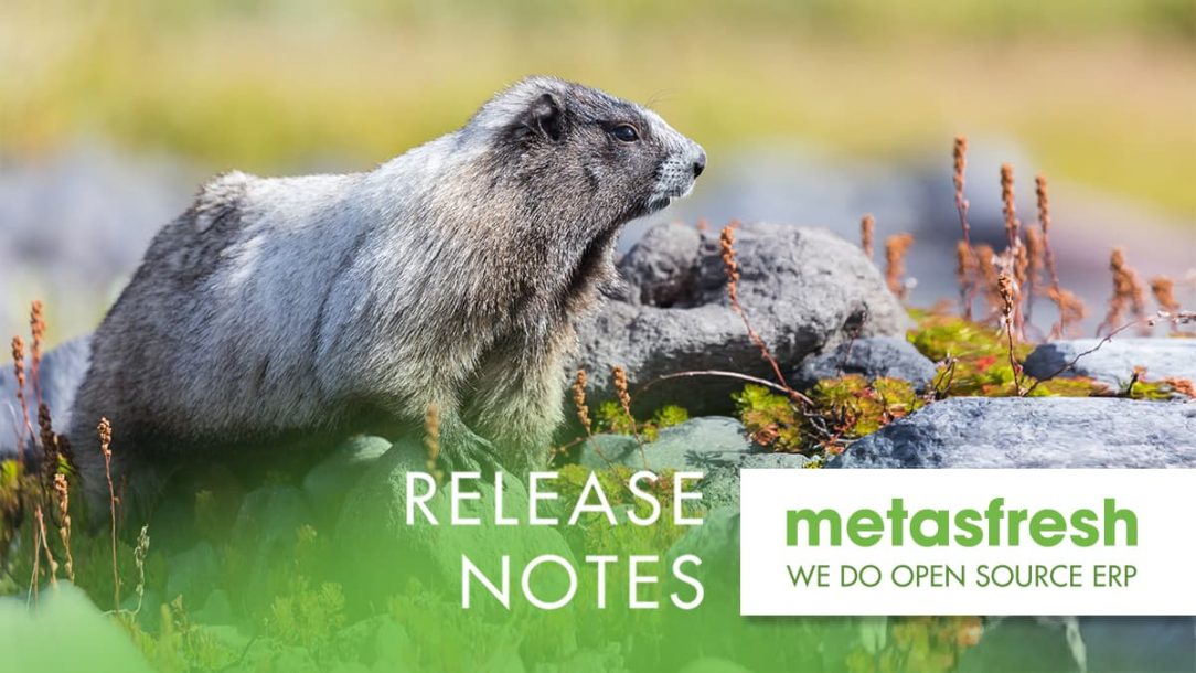 metasfresh ERP Release 5.164 - Marmot in Mt. Rainier National Park