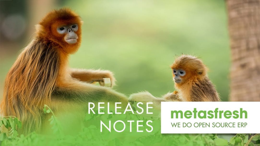 metasfresh ERP Release 5.166 - Golden snub-nosed monkey (Rhinopithecus roxellana)