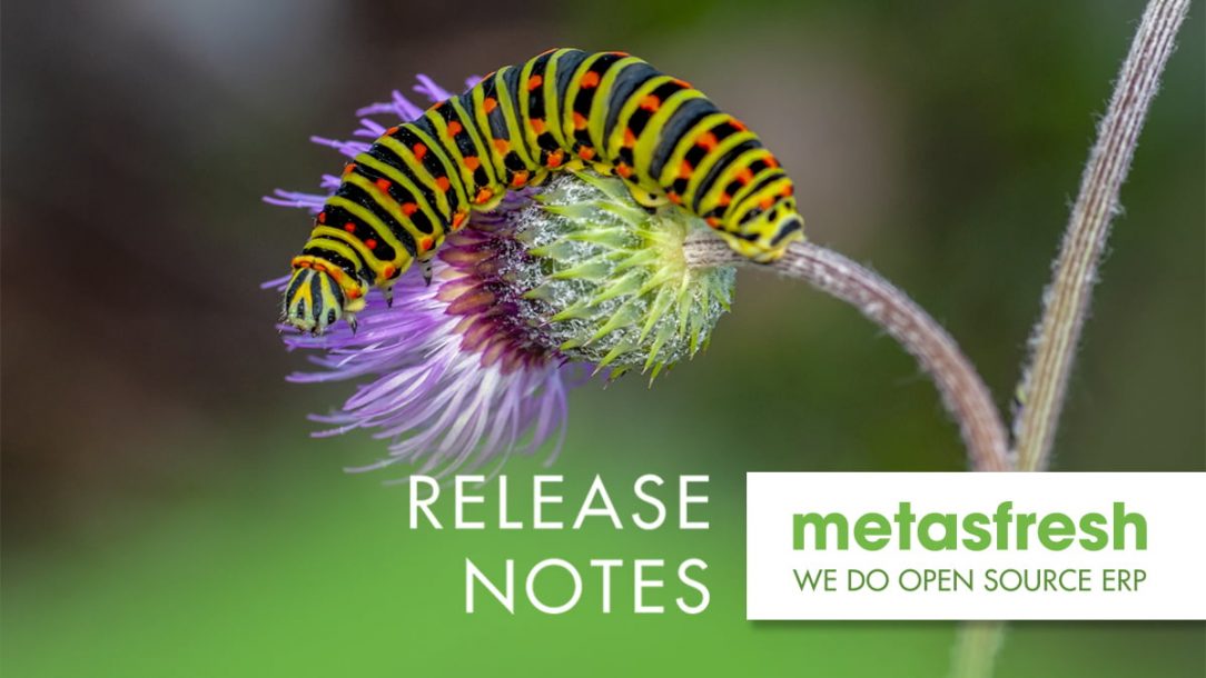 metasfresh ERP Release 5.168 - Swallowtail caterpillar (Papilio machaon)