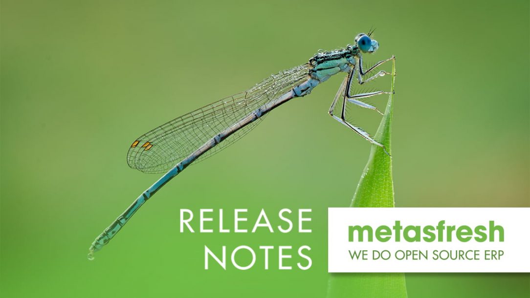metasfresh ERP Release 5.171 - Azure damselfly (Coenagrion puella)