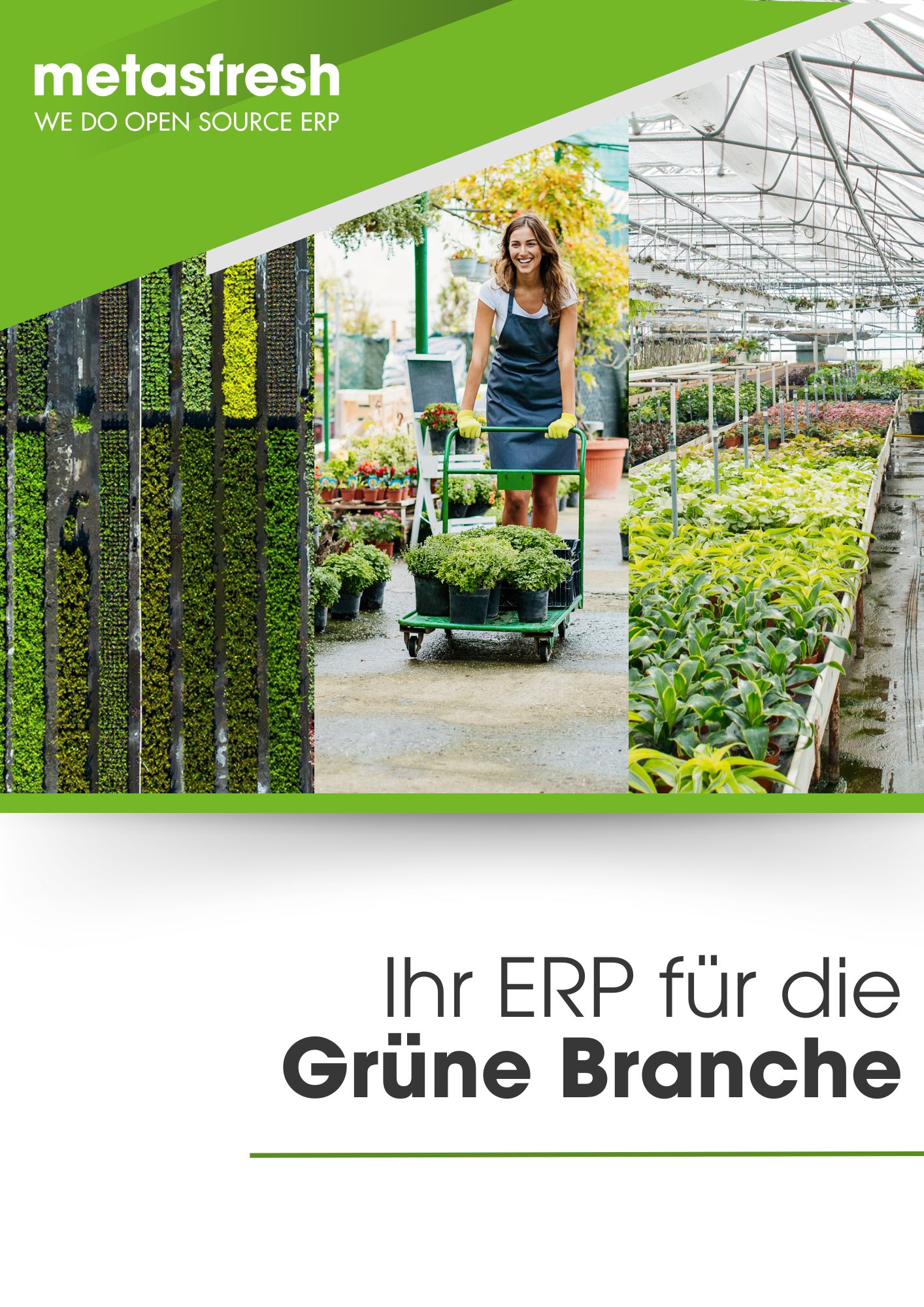 Flyer ERP für die Grüne Branche